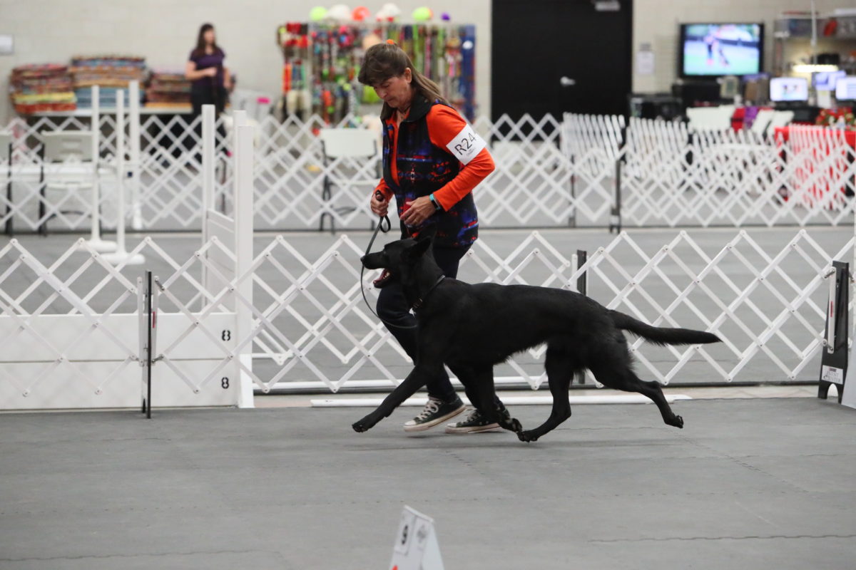 gsd-national-2016-242