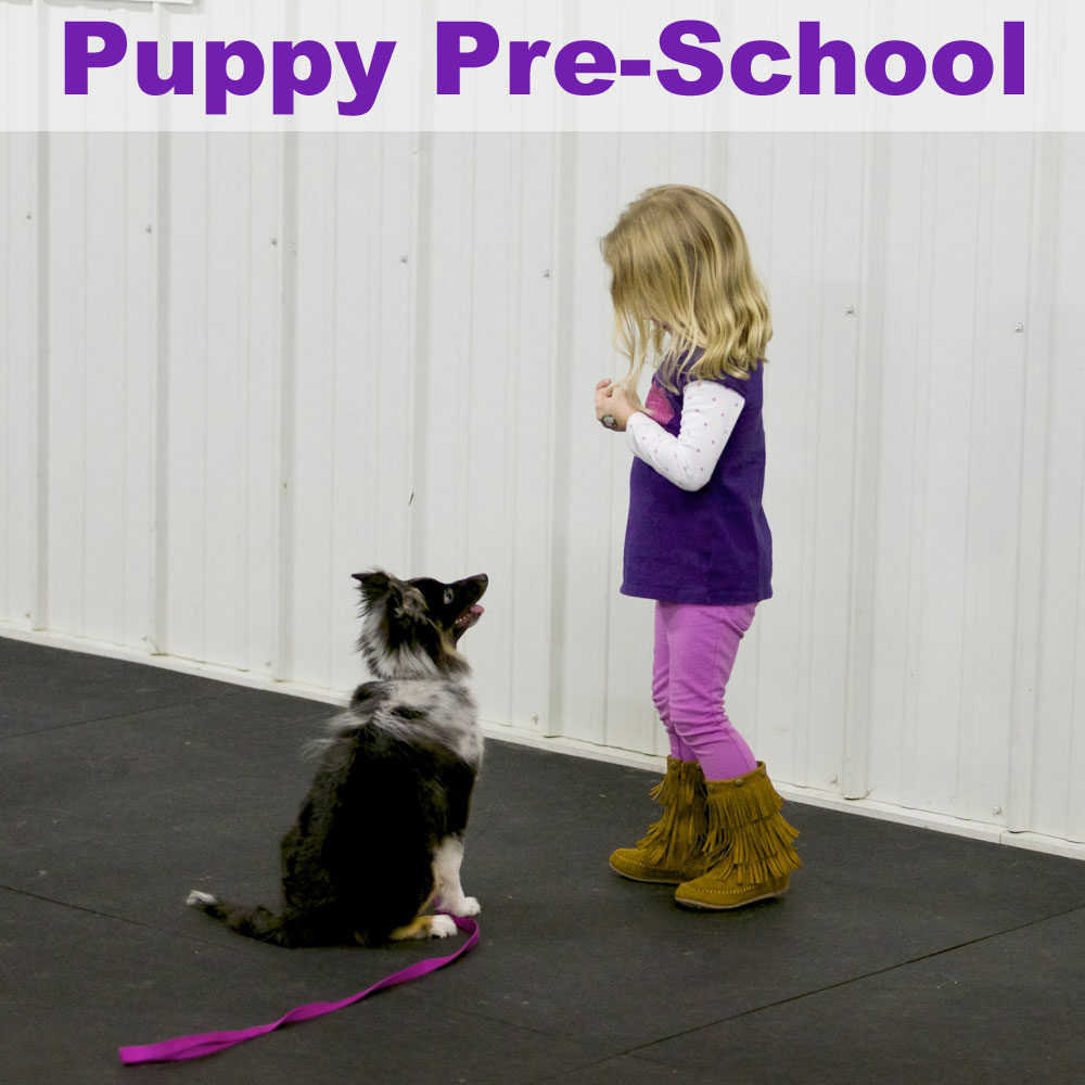 puppypreschool