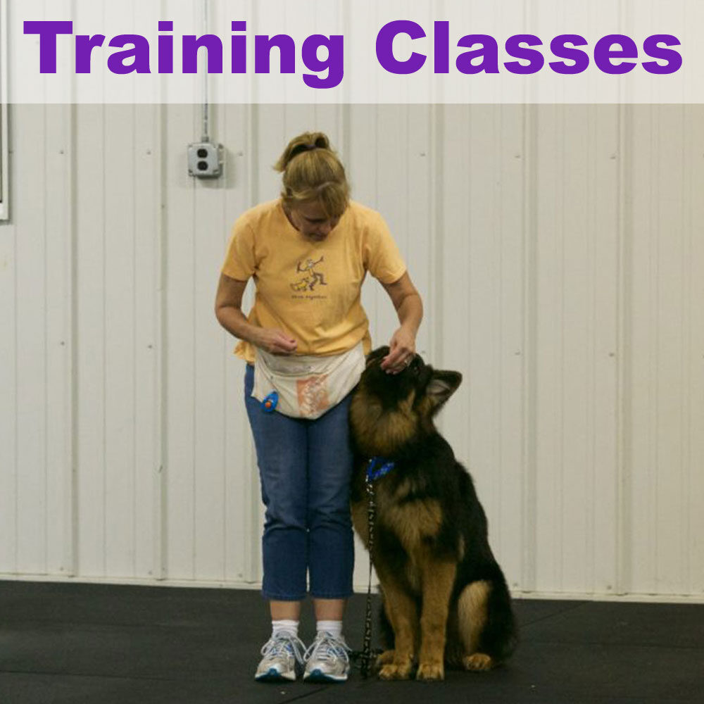 training-classes